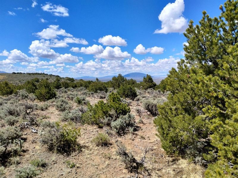 Bring RV, Driveway Already in : San Luis : Costilla County : Colorado