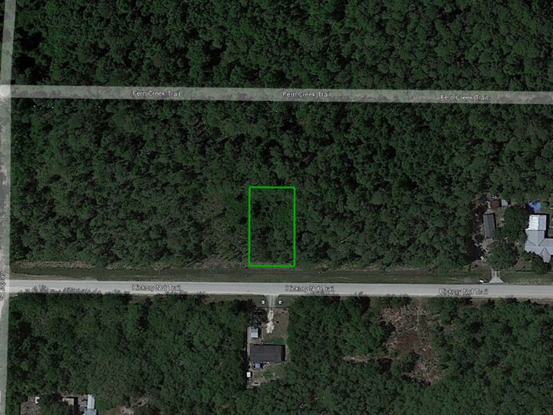Mobile Home Friendly Land : Satsuma : Putnam County : Florida