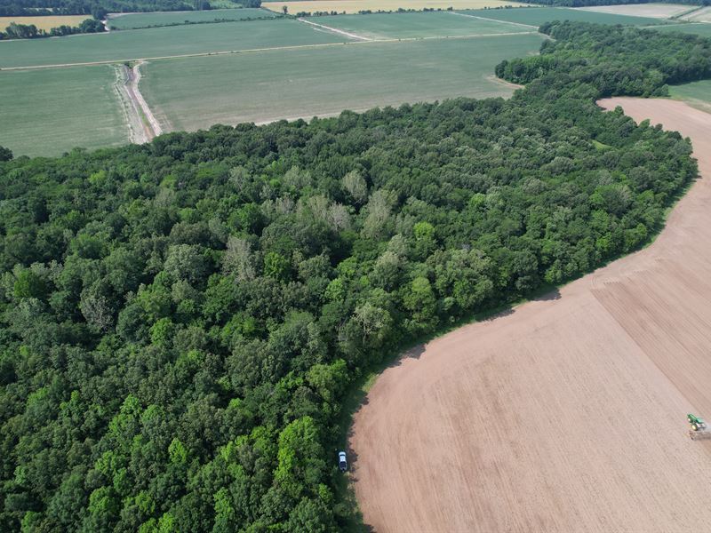 Wooded Land in Greene County : Paragould : Greene County : Arkansas