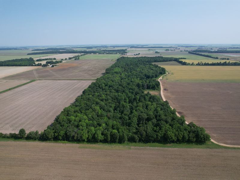 Greene County, Ar, All Wooded : Paragould : Greene County : Arkansas