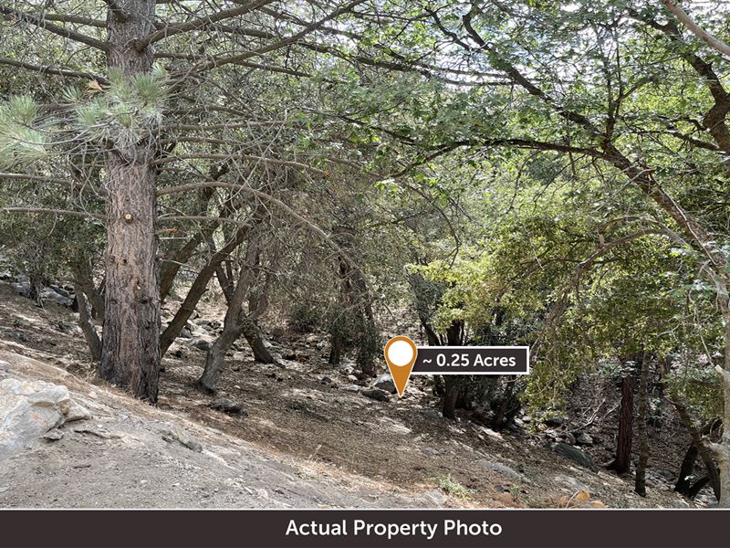 Mountain Town Property : Running Springs : San Bernardino County : California