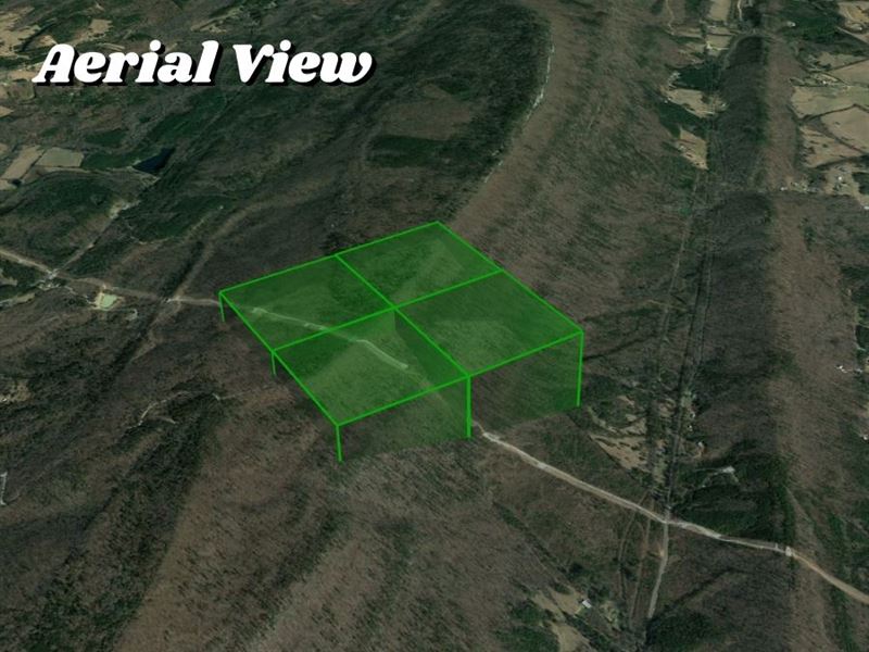 160 Acres of Land : Gadsden : Etowah County : Alabama