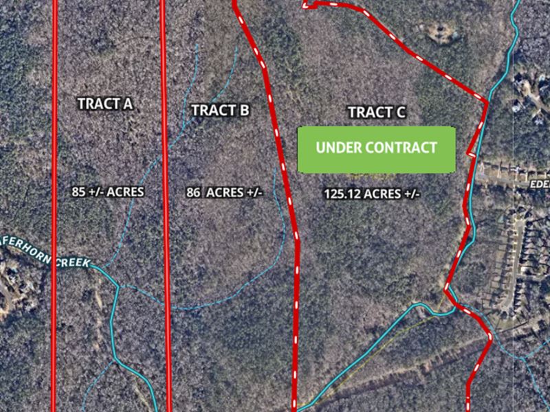 Tract C, 86 Ac Timber and Waterfall : Columbus : Muscogee County : Georgia