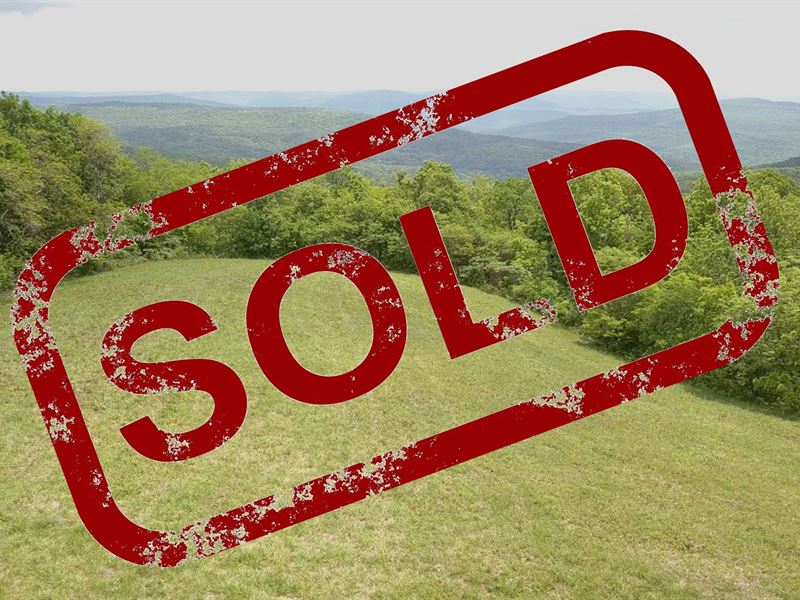 Land Bordering National Forest : Salus : Newton County : Arkansas