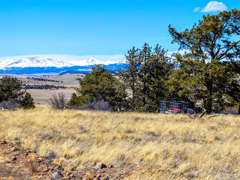 3 Ac in Hartsel, CO Mountain Views : Hartsel : Park County : Colorado
