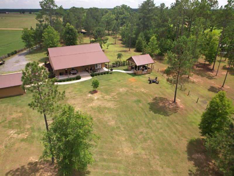 Unique Homestead in Buck Country : Edison : Calhoun County : Georgia