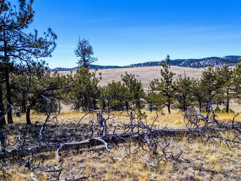 5 Ac, Power at Road in Hartsel, CO : Hartsel : Park County : Colorado