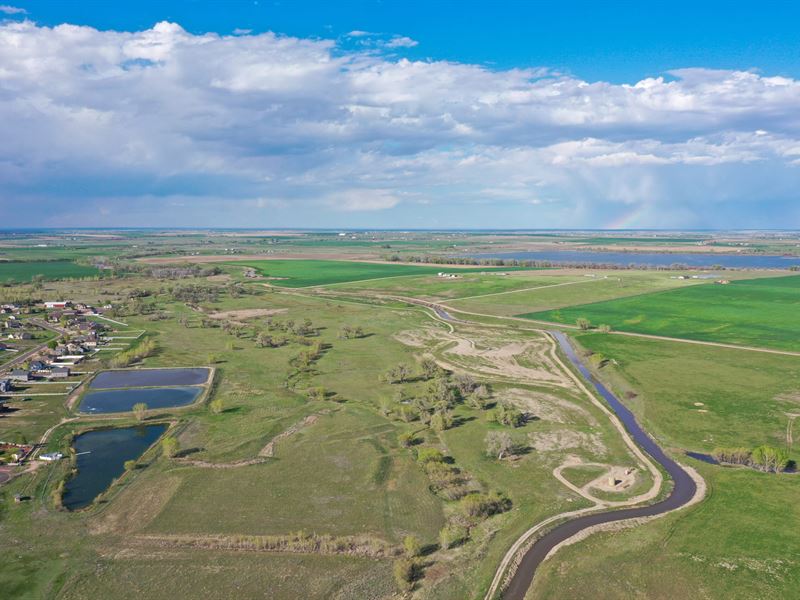 Boxelder Creek Farm : Hudson : Adams County : Colorado