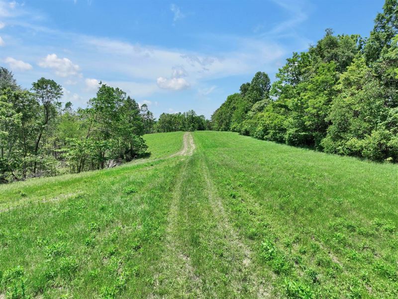 117.33 Surveyed Acres of Hunting/Re : Bethpage : Sumner County : Tennessee
