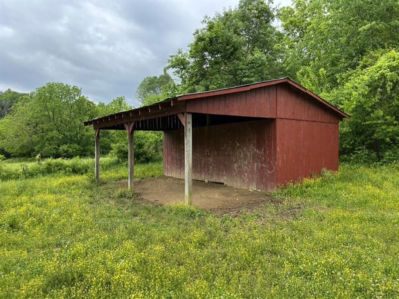 58 Acre Fully Fenced Farm in Wilson : Auburntown : Anderson County : Tennessee