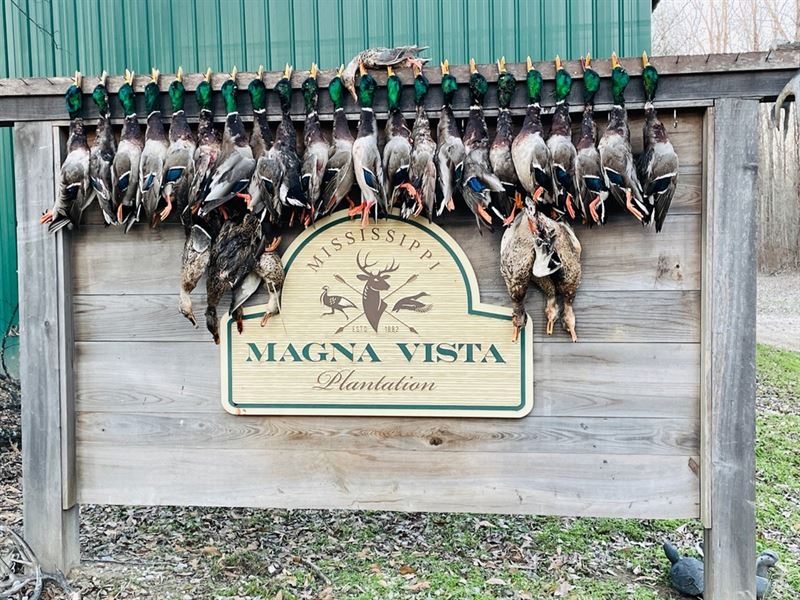 Equity Share of Magna Vista : Mayersville : Issaquena County : Mississippi