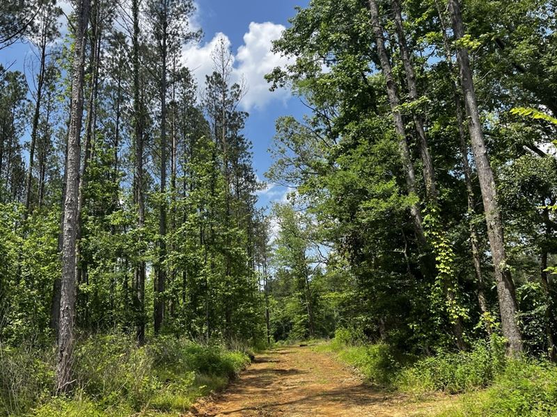 443 Acres in Attala County, MS : Kosciusko : Attala County : Mississippi