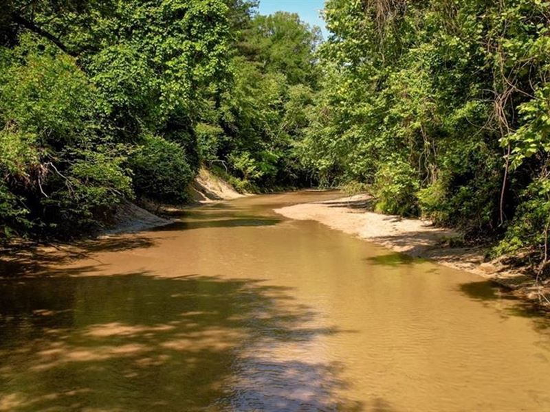 157 Acres for Sale Hunting Land : Roxie : Franklin County : Mississippi