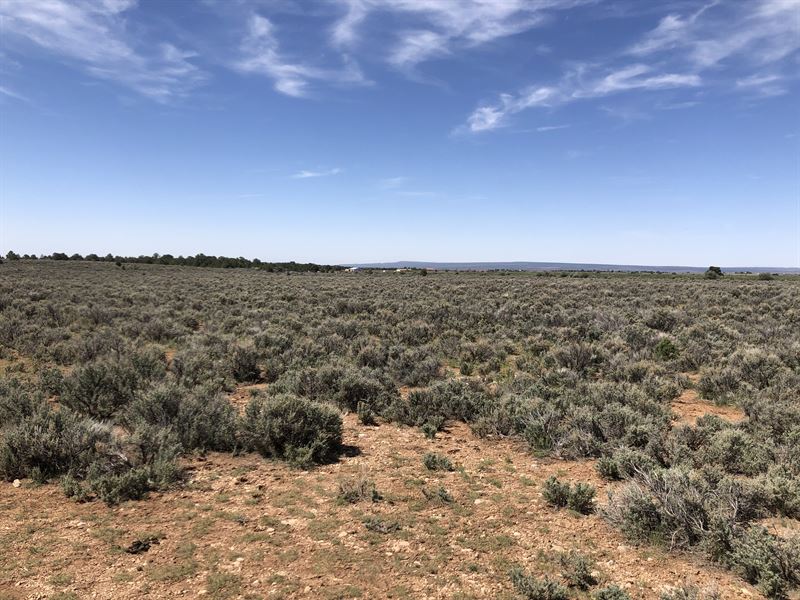 Mountain Views, Secluded : Hesperus : La Plata County : Colorado