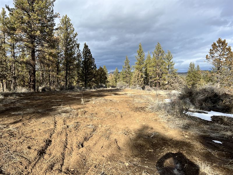 Beautiful Retreat for Homesteading : Chiloquin : Klamath County : Oregon