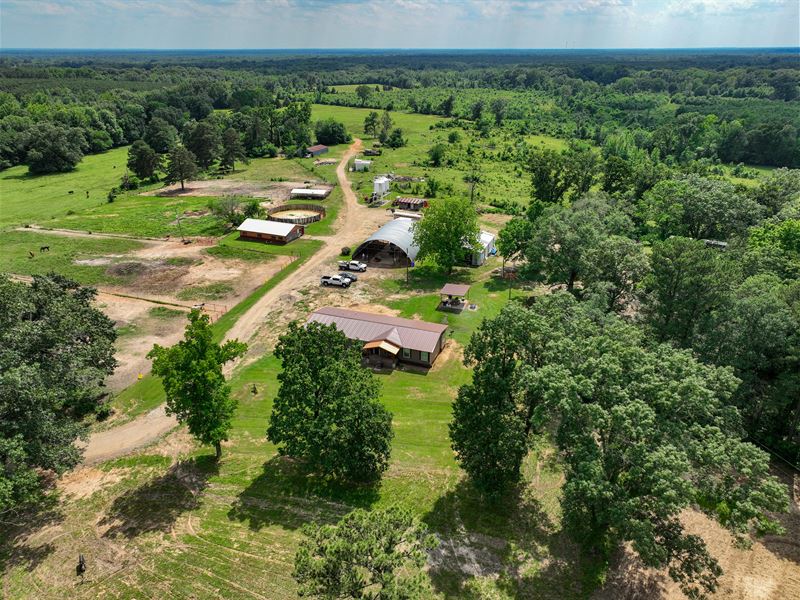 197 Acre Horse Property : Avery : Red River County : Texas
