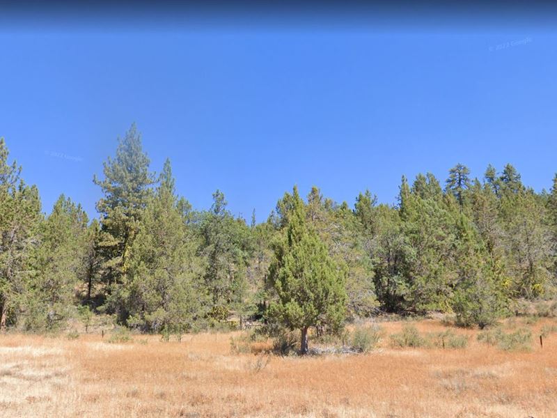New Beginnings with This 0.92 Acre : Modoc : Modoc County : California