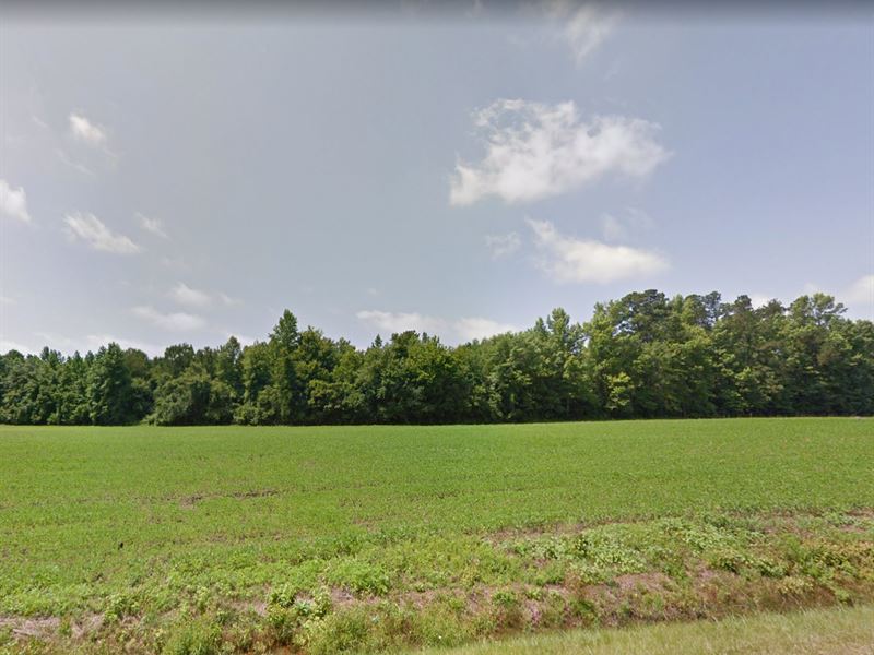 32.23 Acres, Many Possibilities : Tabor City : Columbus County : North Carolina