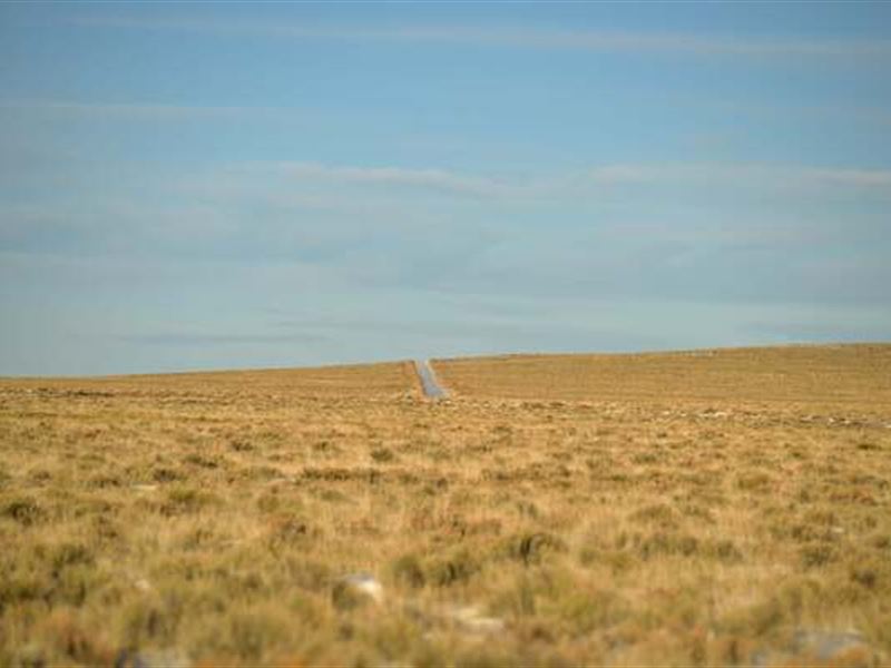Stunning 5 Acres, A Real Gem : San Luis : Costilla County : Colorado