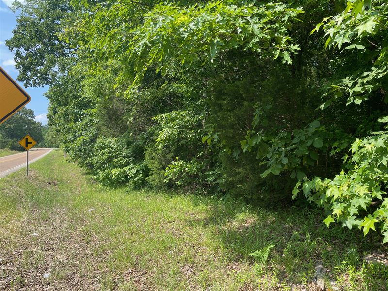 Unrestricted Land for Sale in TN : Adamsville : Hardin County : Tennessee
