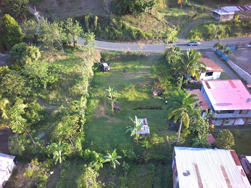 Pura Vida Tucurrique Lot : Tucurrique : Costa Rica