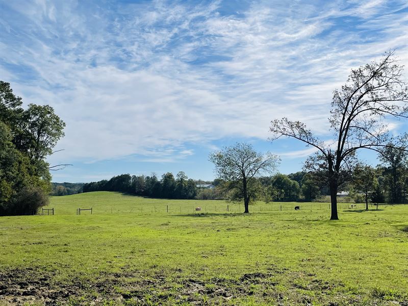 Broiler Farm with Scenic Views : Calhoun : Gordon County : Georgia