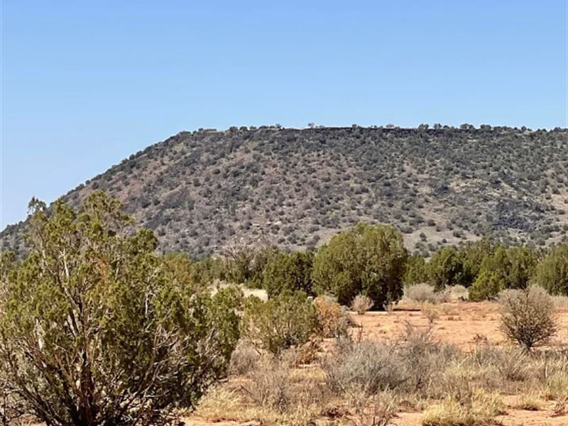 Build, Camp, Relax in Navajo County : Snowflake : Navajo County : Arizona