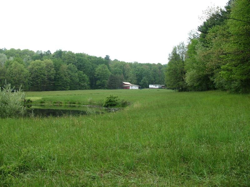 Homesteader's Haven : Walston : Jefferson County : Pennsylvania