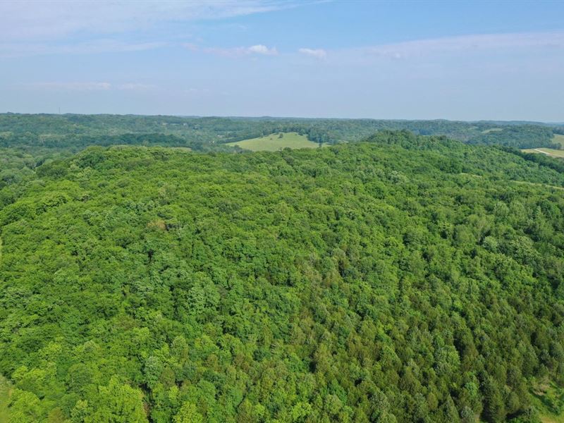 13.94 Wooded Retreat with Hill Top : Culleoka : Maury County : Tennessee