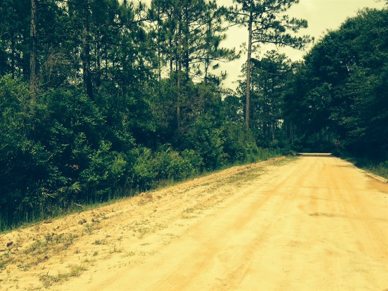 2 Mobile Homes Lots Financed : Fountain : Bay County : Florida