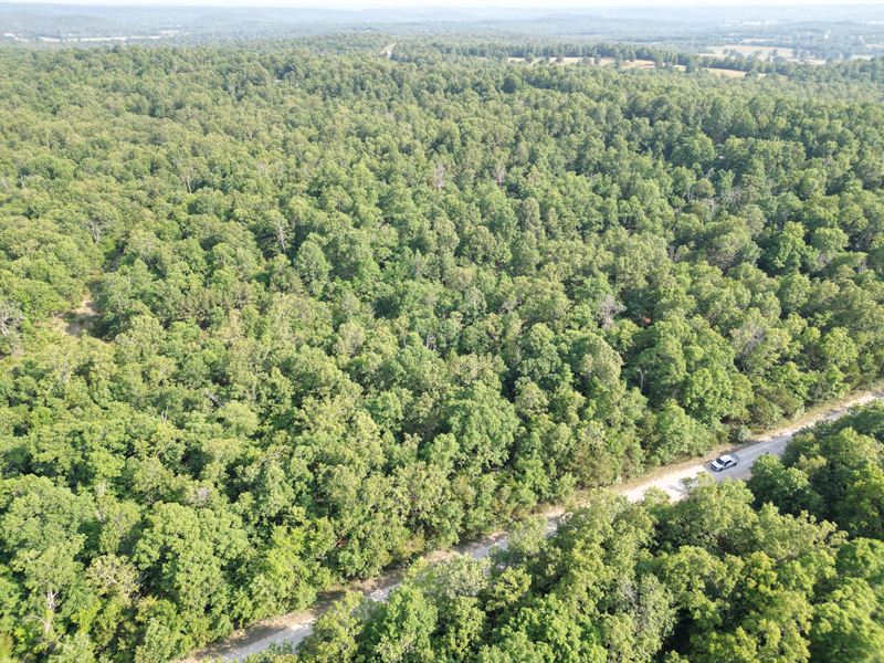 Be Outdoors and Build Your Dream : Horseshoe Bend : Izard County : Arkansas