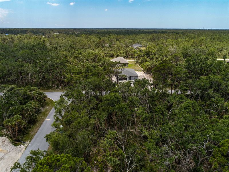 Port Charlotte's Hidden Gem : Port Charlotte : Charlotte County : Florida
