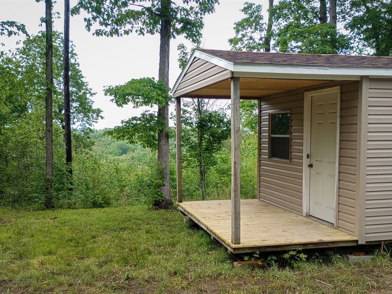 Owner Financed Cabin on The River : Huston : Texas County : Missouri