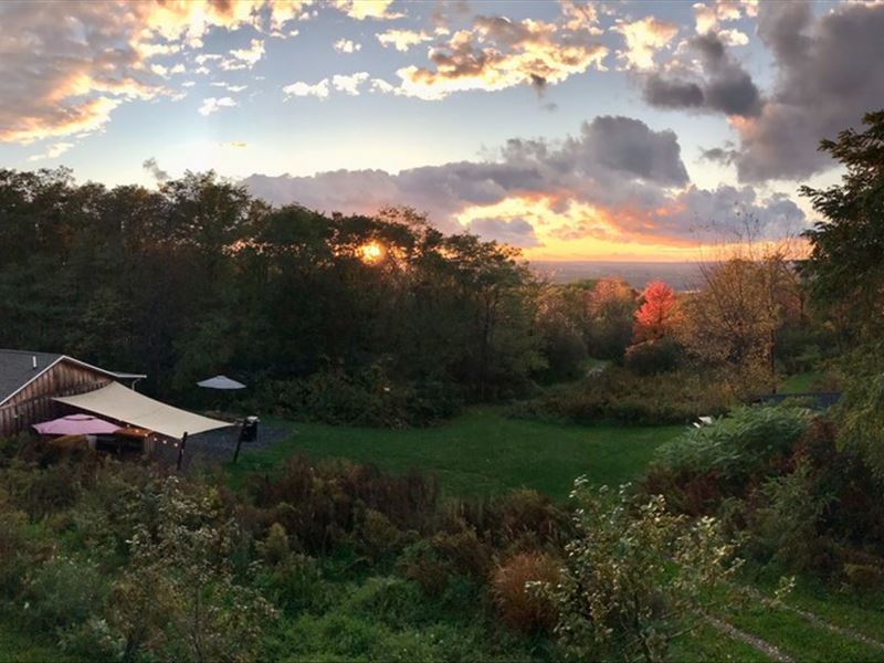 Highly Rated Glamping Resort : Burdett : Schuyler County : New York