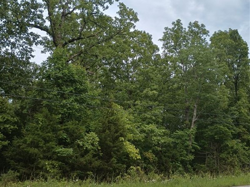 Twice The Size, Twice as Nice : Horseshoe Bend : Izard County : Arkansas