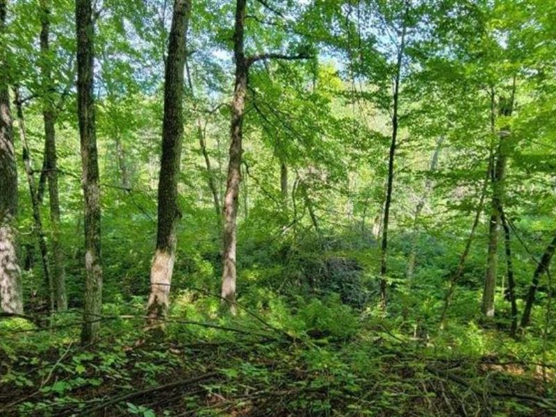 Lake Life Fab, $125/Mo in MN : Garrison : Mille Lacs County : Minnesota
