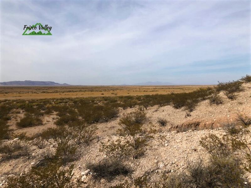 Hot Opportunity in Luna County : Deming : Luna County : New Mexico