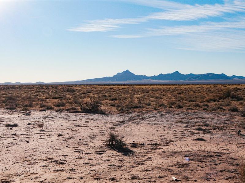 Beautiful Property in Deming, NM : Deming : Luna County : New Mexico