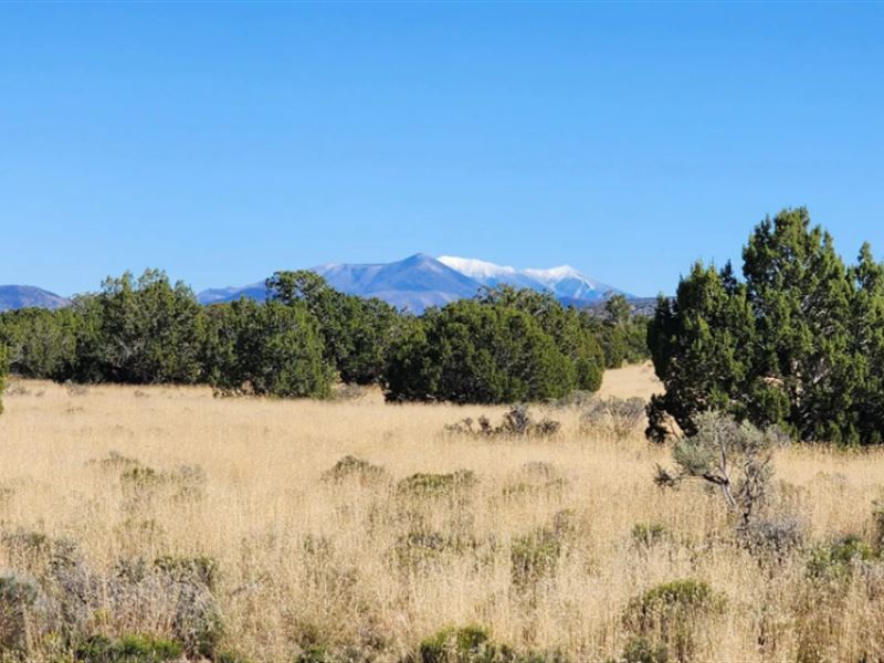 Escape The Ordinary, $125/Mo : Williams : Coconino County : Arizona