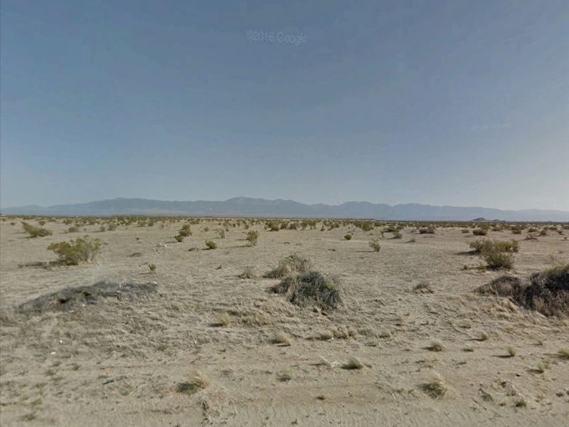 2.54 Acres of Solitary Peacefulness : Lake Los Angeles : Los Angeles County : California