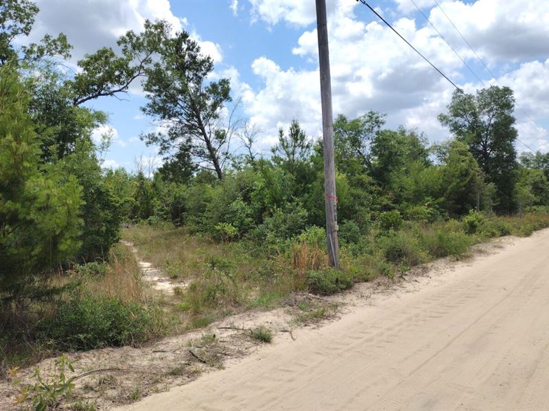 5 Acres No Restrictions in FL : Youngstown : Washington County : Florida