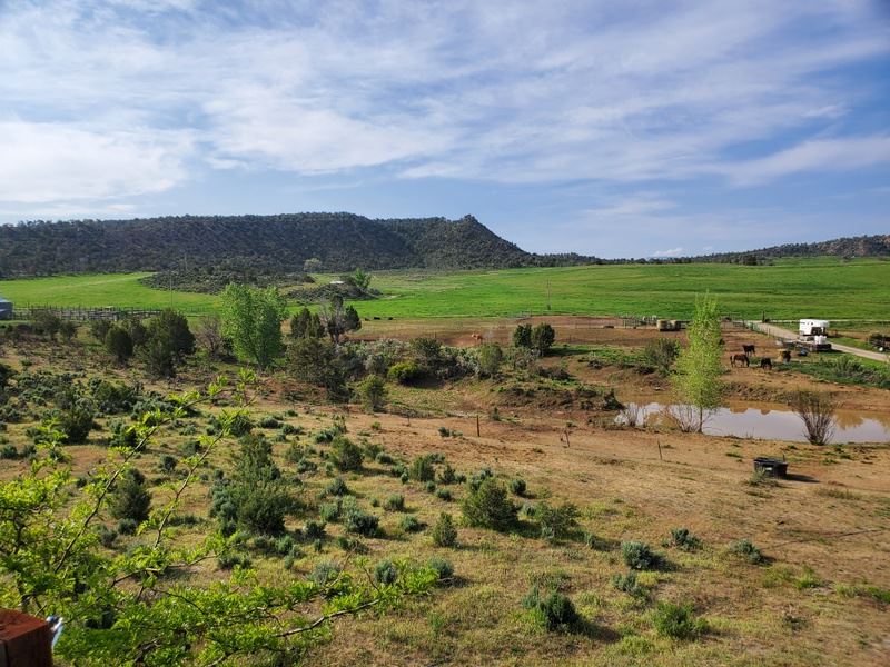 Hidden Hollow Farm & Ranch : Silt : Garfield County : Colorado