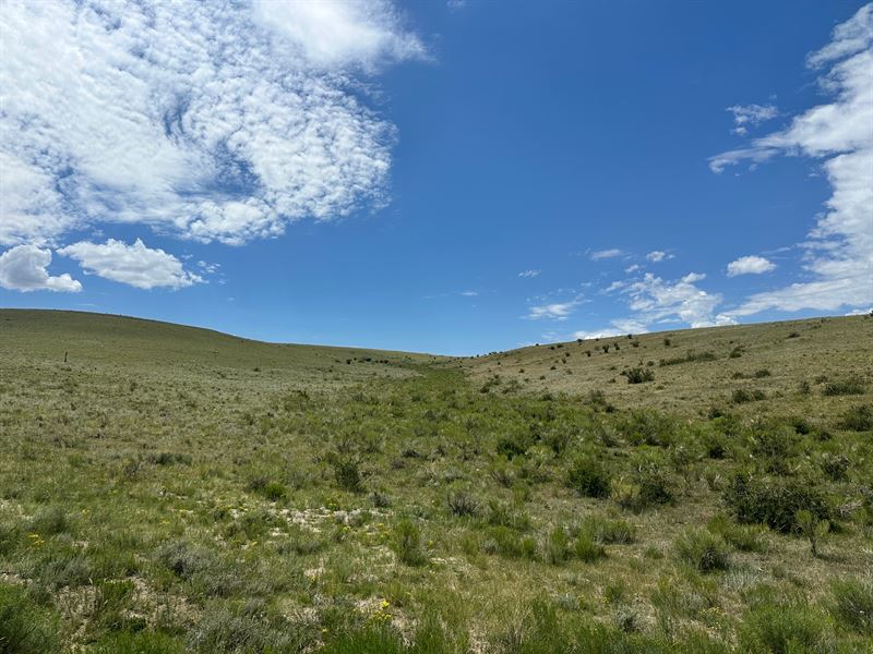 Sheltered Cove : Westcliffe : Custer County : Colorado