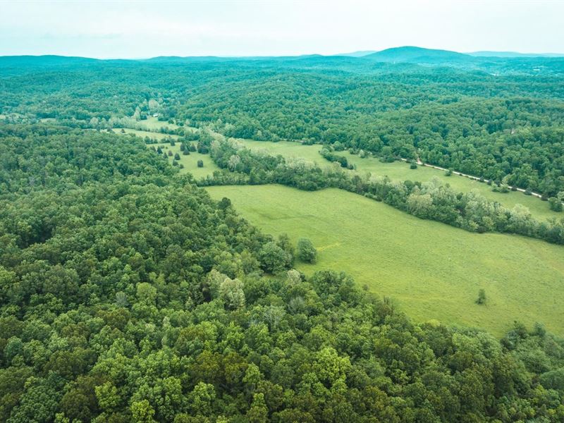 Dry Creek Farm 173 : Piedmont : Wayne County : Missouri