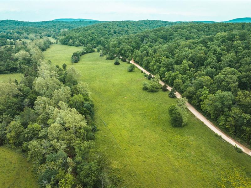 Dry Creek Farm Tract 1 : Piedmont : Wayne County : Missouri