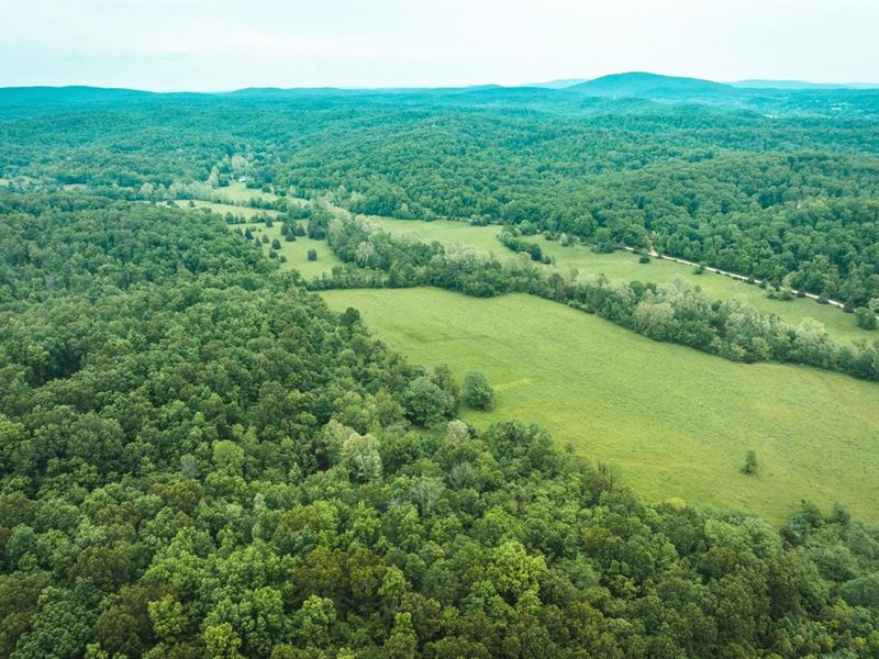 Dry Creek Farm Tract 2 : Piedmont : Wayne County : Missouri