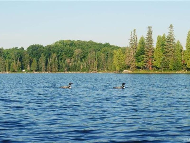 40+ Michigan Private Lake Lot 50109 : Michigamme : Baraga County : Michigan