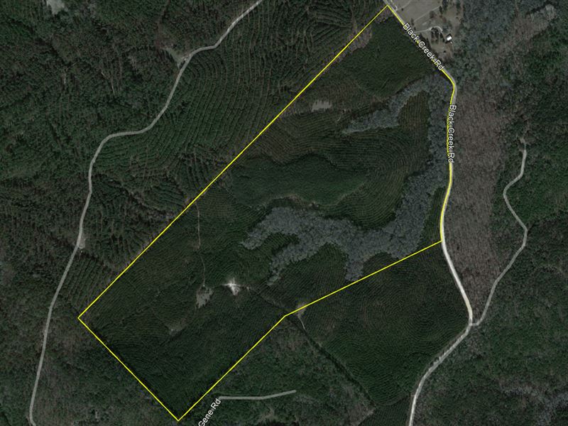 Reduced, Recreation/Planted Pine : Milledgeville : Baldwin County : Georgia