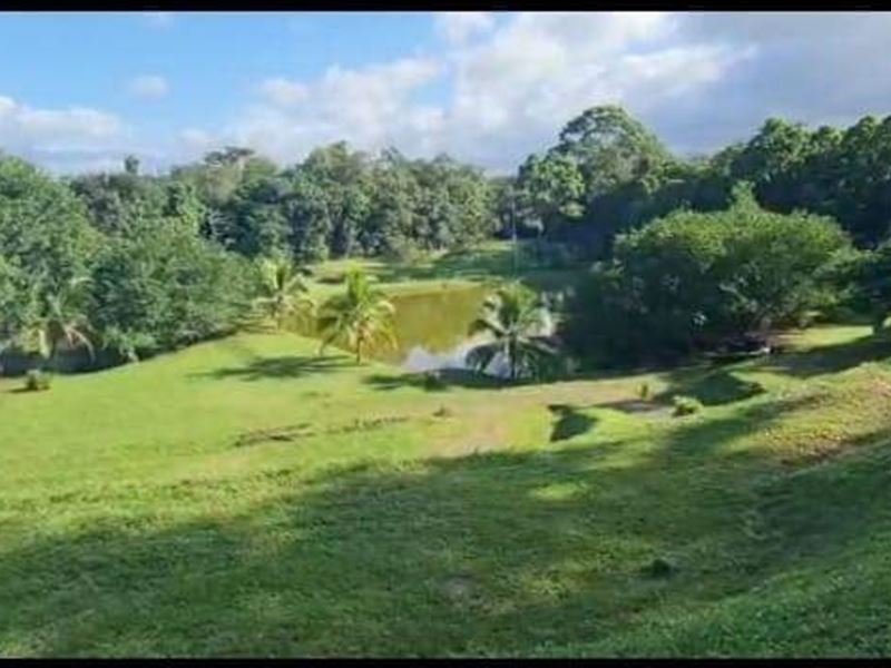 Fortune Dream Land : San Carlos : Costa Rica