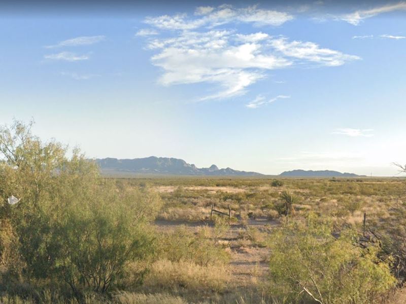 Grab This Gorgeous 20 Acres in TX : Sierra Blanca : Hudspeth County : Texas